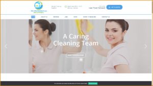 PHPROFESSIONALCLEANING.CO.UK